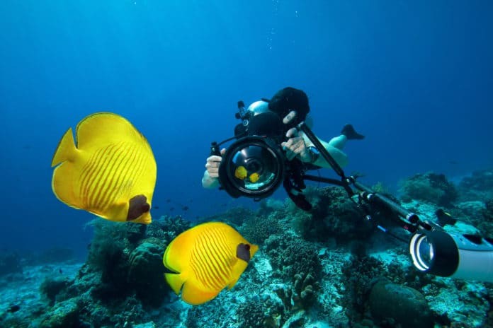 Underwater Photographer diving with camera in the Red sea