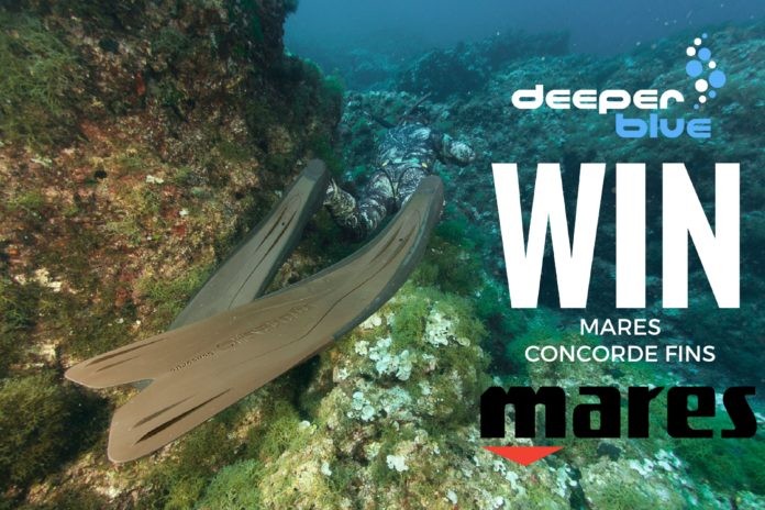 WIN a Pair of Mares Concorde Fins Competition