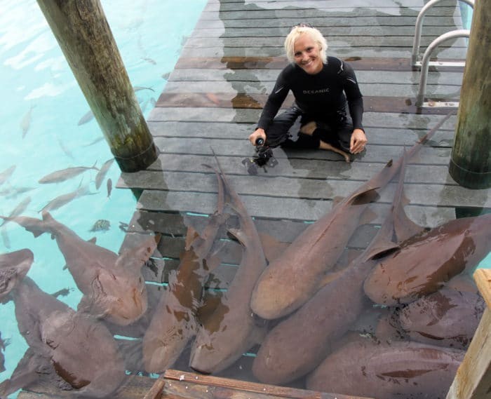 Jillian freediving and photographing sharks Image: Duncan Brake 