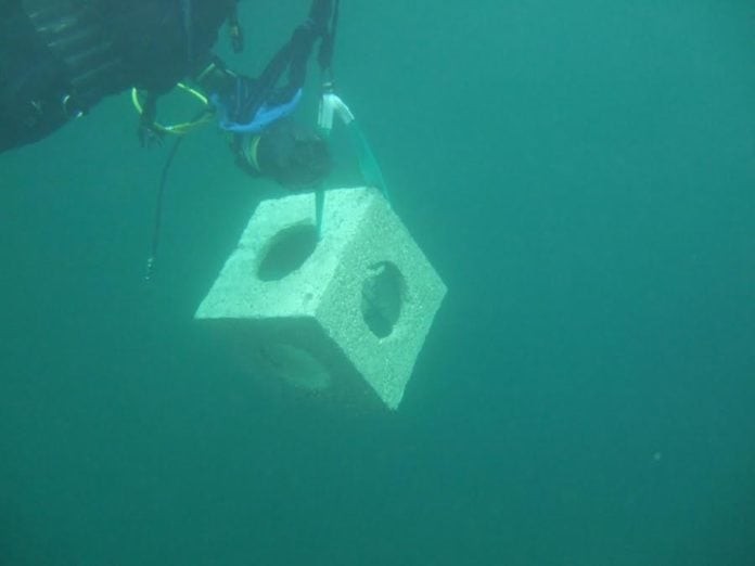U.K. Company To Build World’s First Modular Artificial Reef