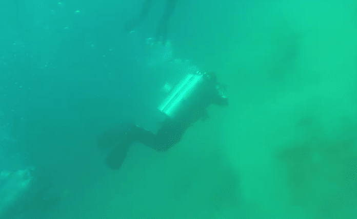 Divers Witness Underwater Earthquake (Photo credit: Newsflare)