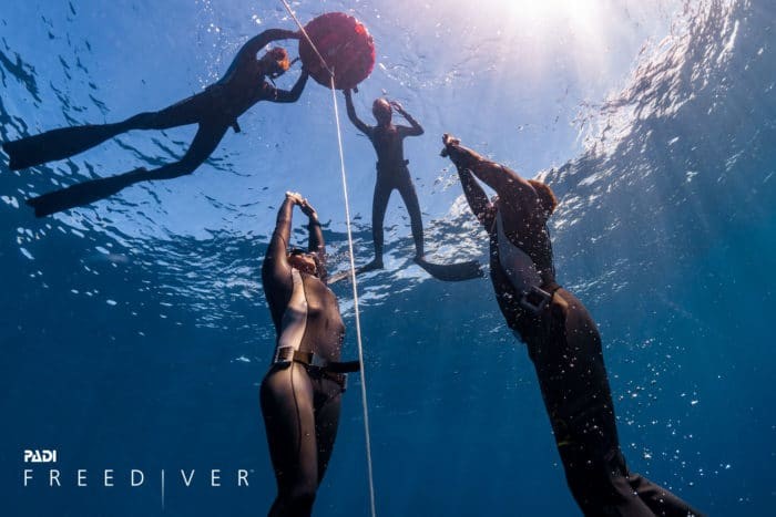PADI Freediver - Explore a New World
