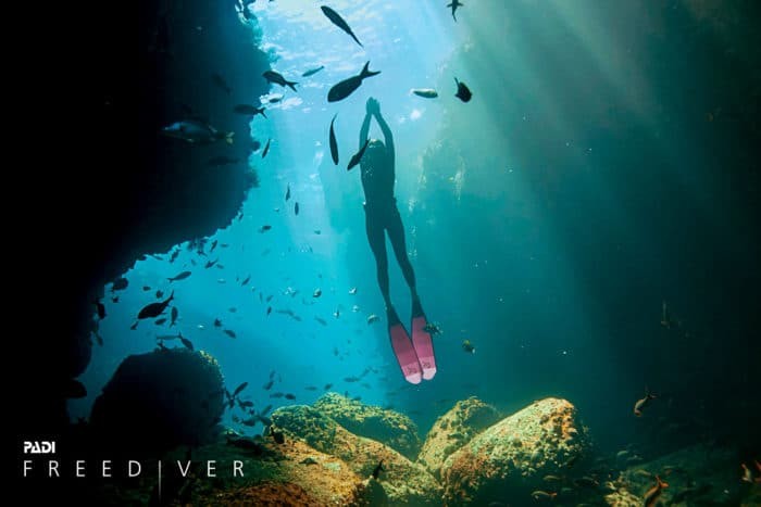 PADI Freediver - Explore a New World