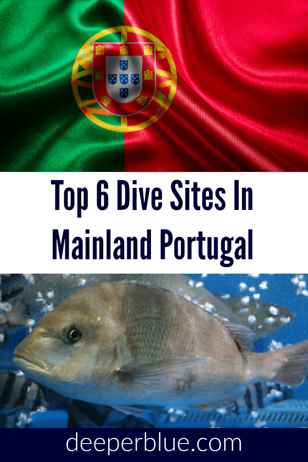 Top 6 Dive Sites In Mainland Portugal
