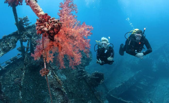 PADI, Mission Blue Join Up To Spur Support for Hope Spots