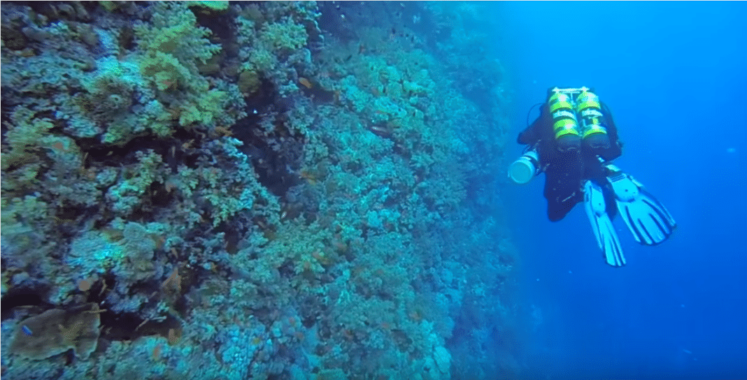 Technical Diver Decompressing on Southern Red Sea reef
