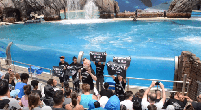 Actor James Cromwell Arrested At SeaWorld 'Orca Encounter' Protest