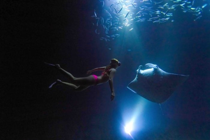 Alison freediving with manta rays