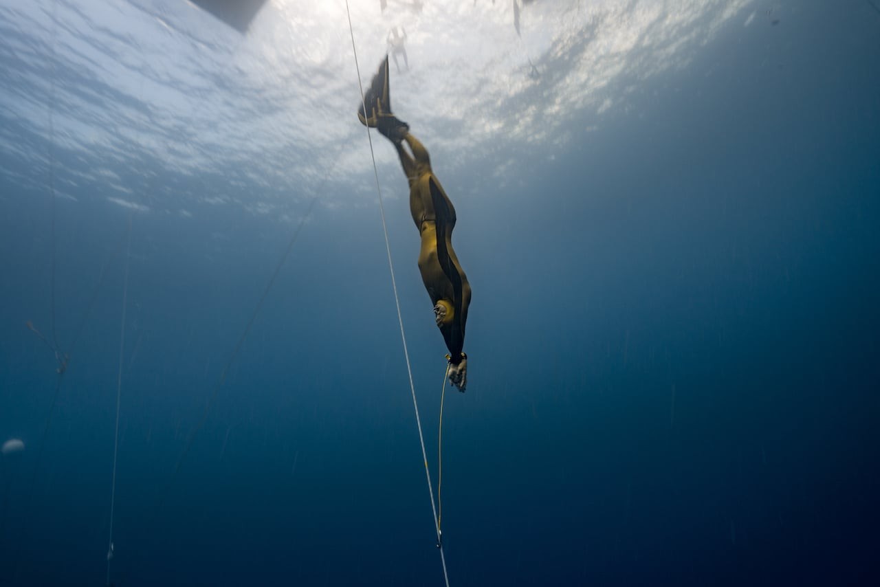 The "Golden Retriever" diving in his favorite discipline (Photo by Daan Verhoeven)