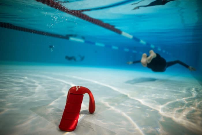 Lobster Freediving Neckweight System