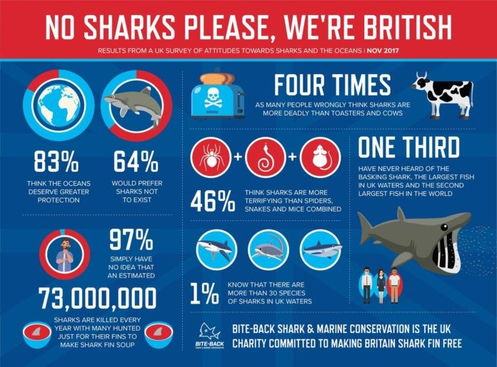 Shark Awareness Sorely Lacking In The UK, Or So It Would Seem