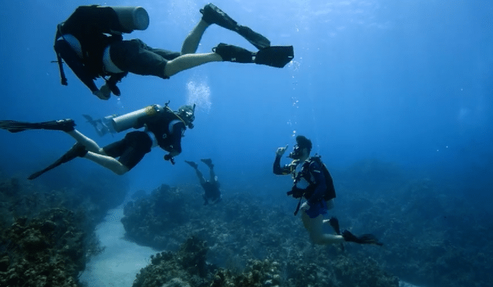PADI partnering with organisations to help veterans through scuba diving