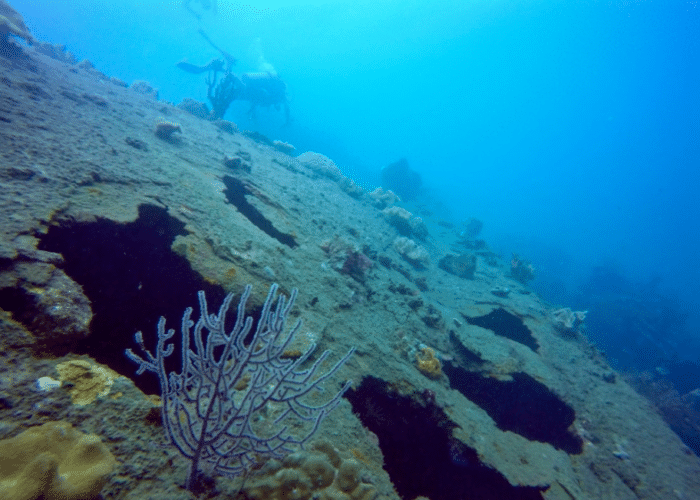 The Kinugawa Maru near Honiara