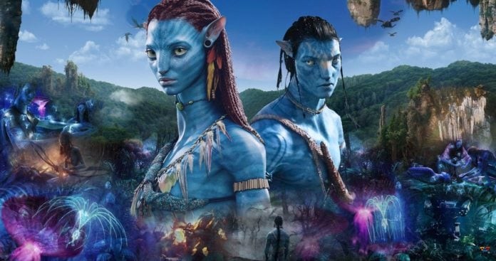 PFI's Kirk Krack trained the Avatar 2 cast to Freedive