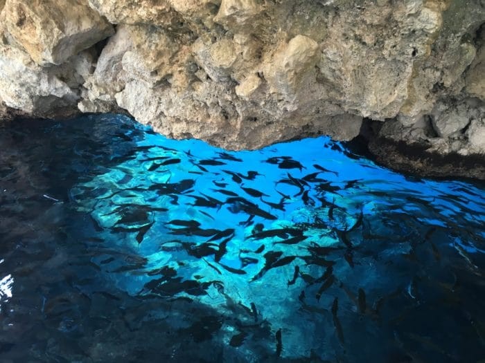 Corfu is known for its excellent Cavern Diving.