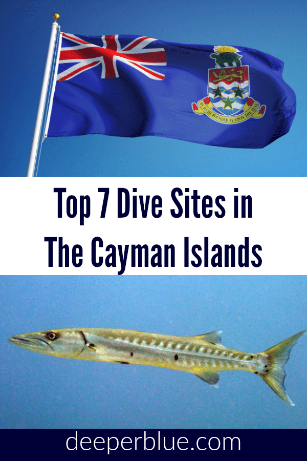 Top 7 Dive Sites In The Cayman Islands