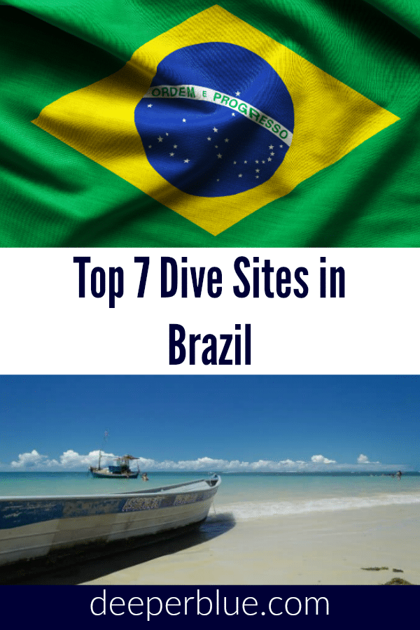 Top 7 Dive Sites In Brazil
