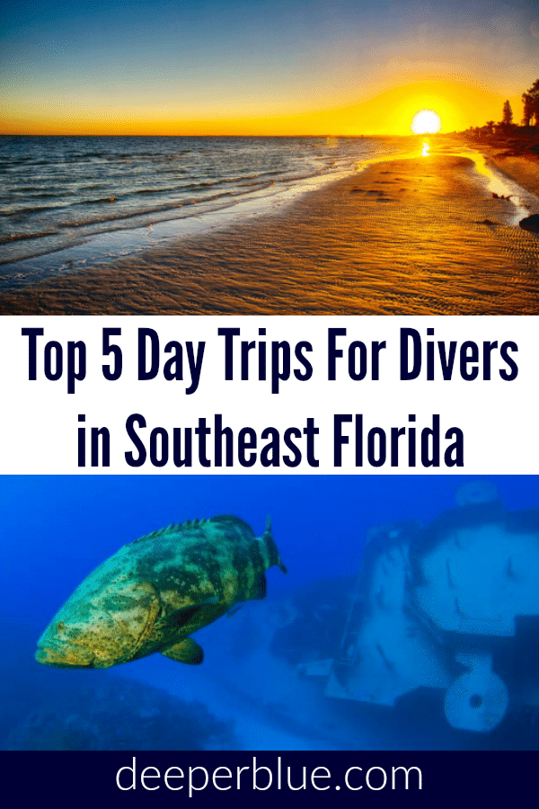 Top 5 Day Trips for Divers in Southeast Florida