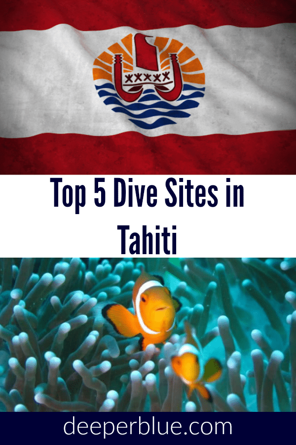 Top 5 Dive Sites in Tahiti