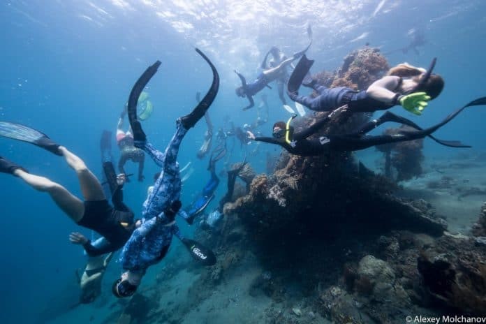 First Molchanovs Freediving Instructor Course Slated For August 2018