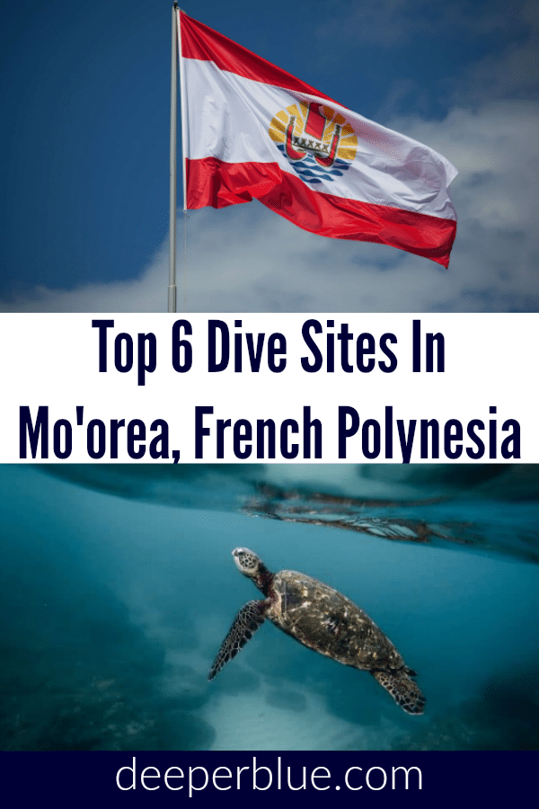 Top 6 Dive Sites In Mo’orea, French Polynesia