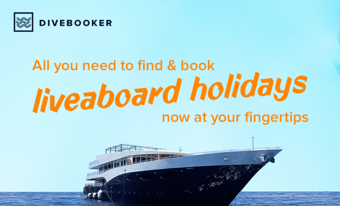 All you need to find & book liveaboard holidays now at your fingertips - Divebooker.com