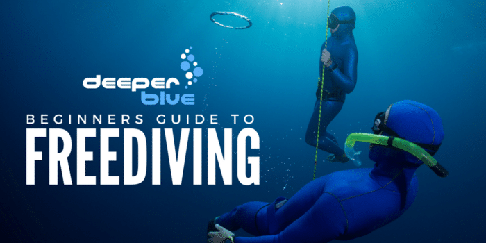 The DeeperBlue.com Beginners Guide to Freediving - Header