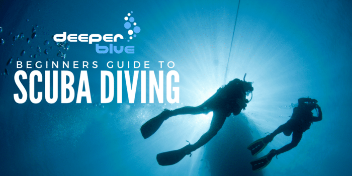 Beginners Guide to Scuba Diving