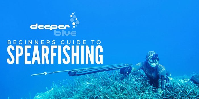 The DeeperBlue.com Beginners Guide to Spearfishing - Header