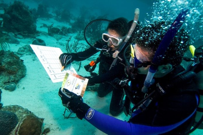 PADI Revises Its Project AWARE Specialty