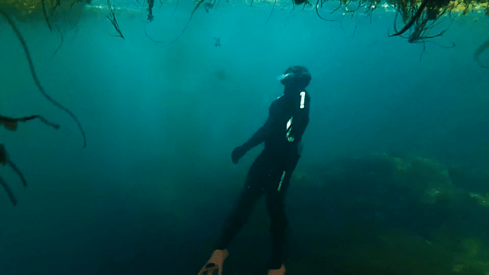 A new freediving club has formed in the Canadian province of Nova Scotia.