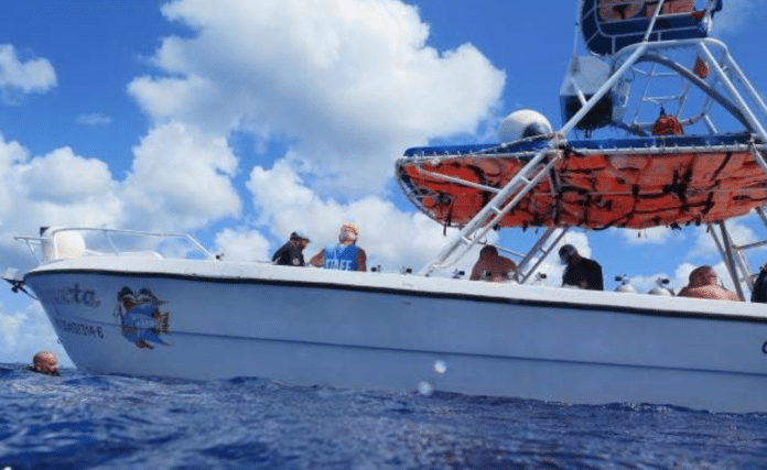 Dive Paradise Cozumel Partners With Local Nonprofit For 'Citizen Science'