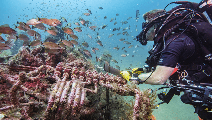 NOAA Archaeologists Study Shipwrecks In 'Graveyard Of The Atlantic' (Photo credit: Tane Casserley/NOAA)