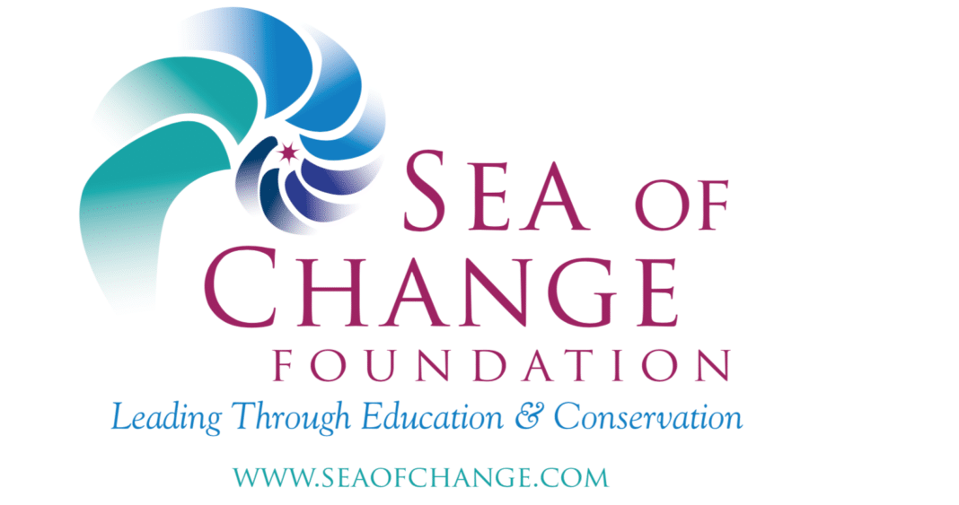 Sea Of Change Foundation