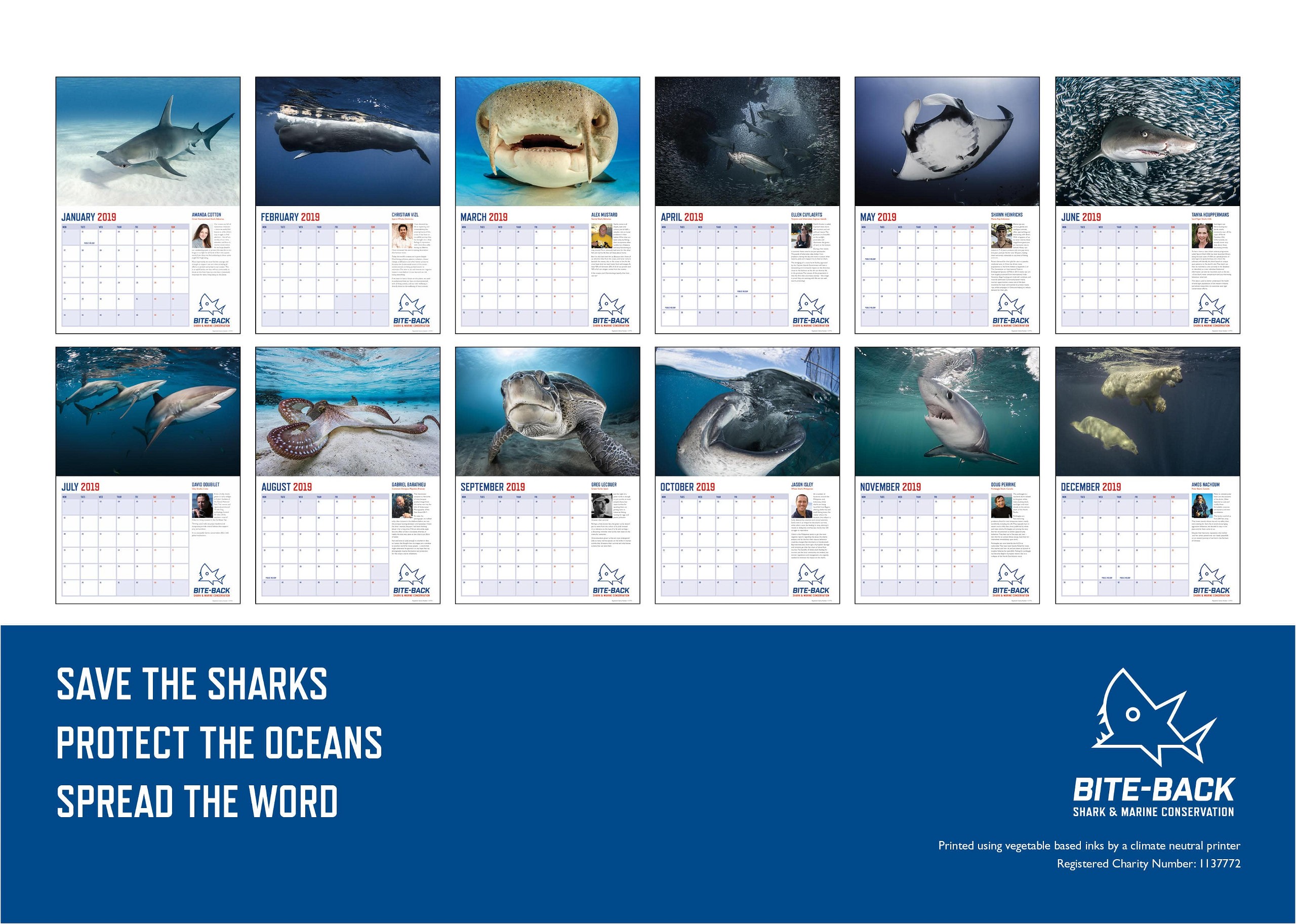 Seas The Day: Photographers Unite In Support Of Shark Charity