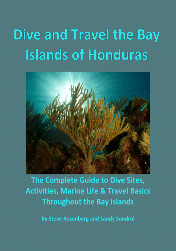 ‘Dive and Travel the Bay Islands of Honduras’ by Steve Rosenberg and Sandy Sondrol