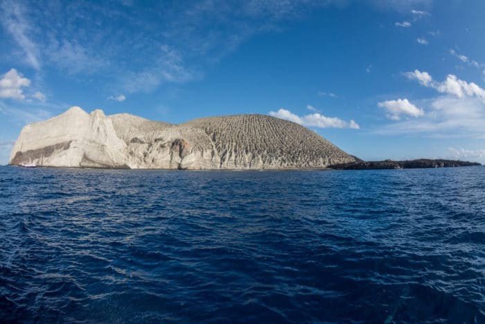 San Benedicto Island – Photo by Nola Schoder
