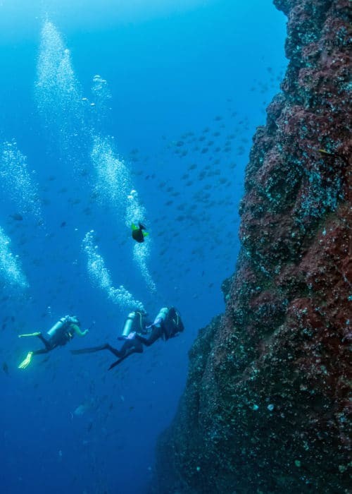 Divers at Roca Partida – Photo by Nola Schoder