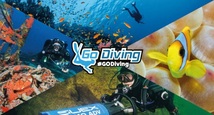 Go Diving Show Header