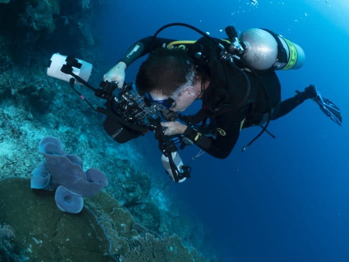 Photography Masterclasses are available at GO Diving