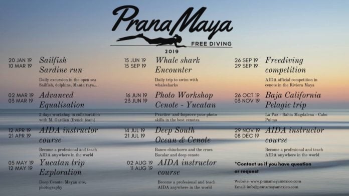 Check Out Prana Maya Freediving's 2019 Events Schedule
