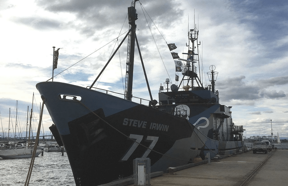 Sea Shepherd's M/V Steve Irwin