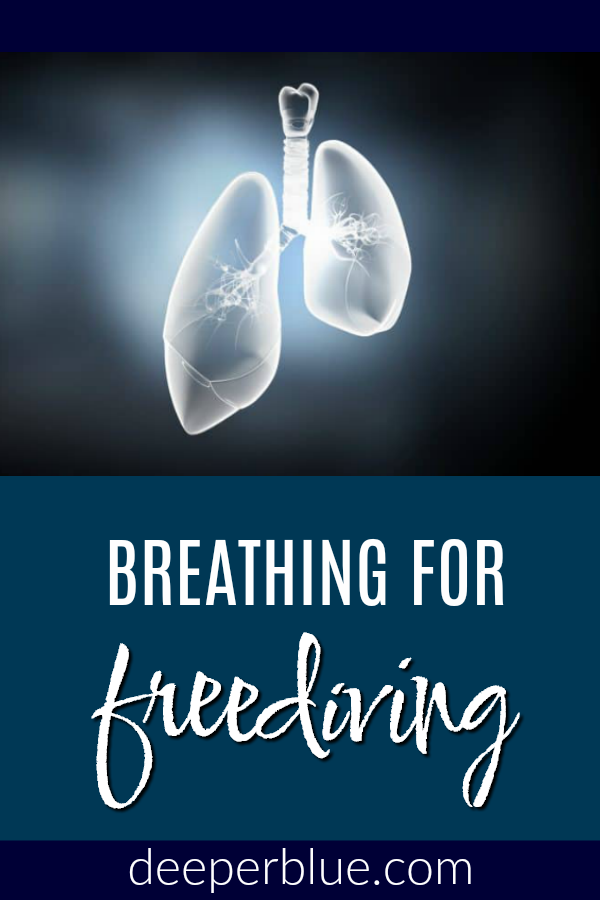 Breathing for Freediving