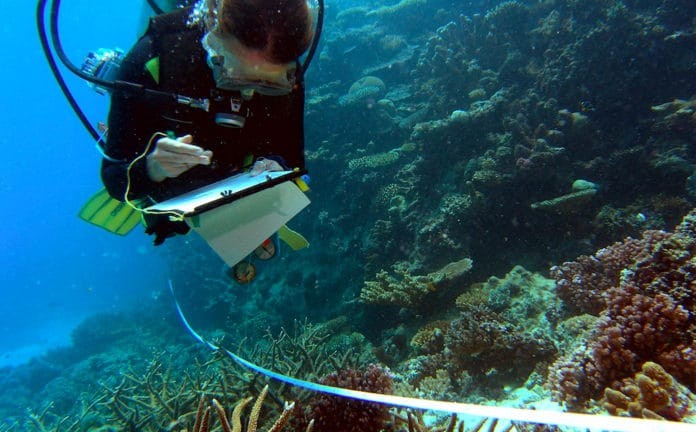 Reef Check Diver collects data on coral bleaching and other ecosystem health indicators along a transect.