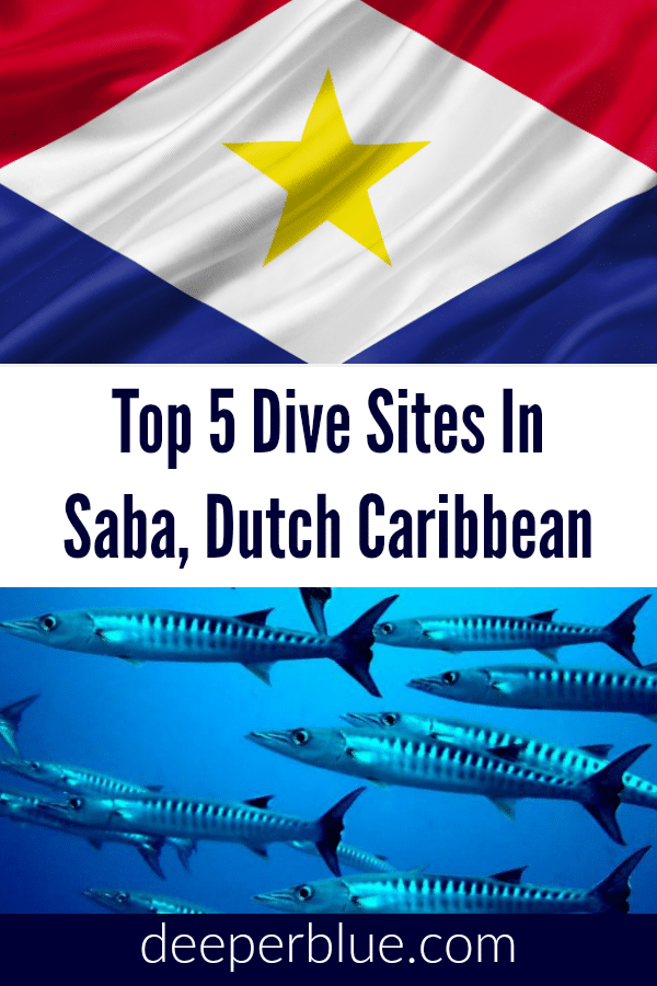 Top 5 Dive Sites In Saba, Dutch Caribbean