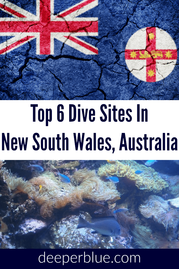 Top 6 Dive Sites In New South Wales, Australia