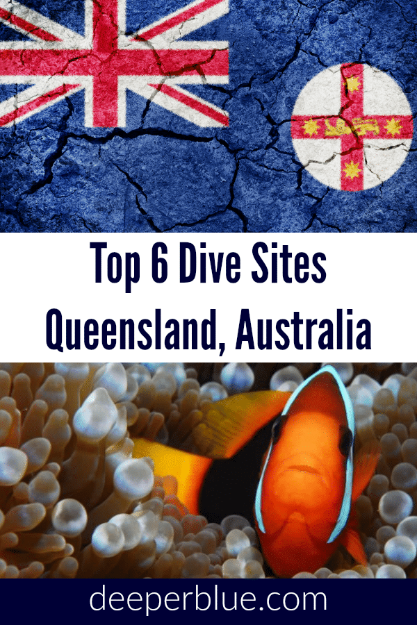 Top 6 Dive Sites In Queensland, Australia