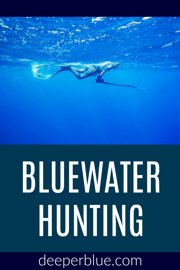 Bluewater Hunting 