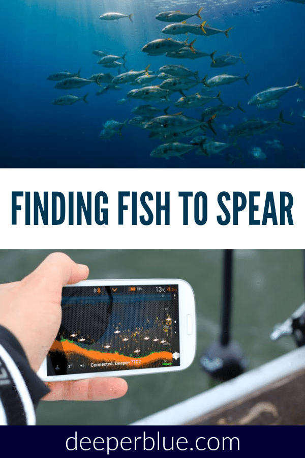 Finding Fish to Spear