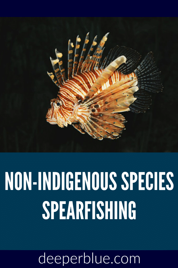 Non-Indigenous Species Spearfishing